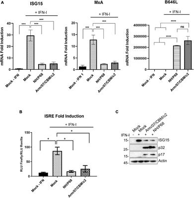 African Swine Fever Virus Induces STAT1 and <mark class="highlighted">STAT2</mark> Degradation to Counteract IFN-I Signaling